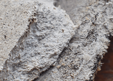 アスベスト除去